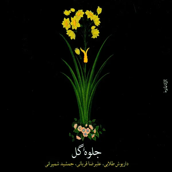 جلوه ی گل