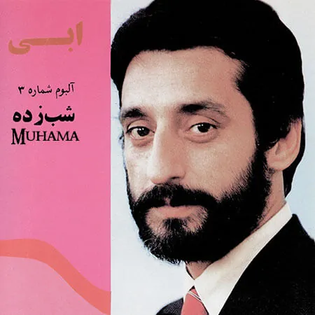 شب زده